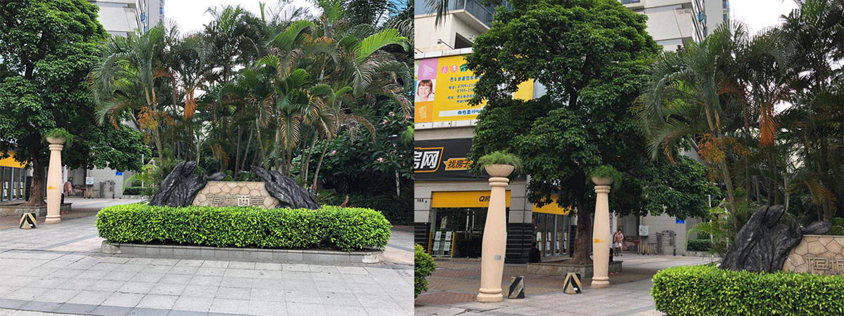 槟城西岸 槟城西岸